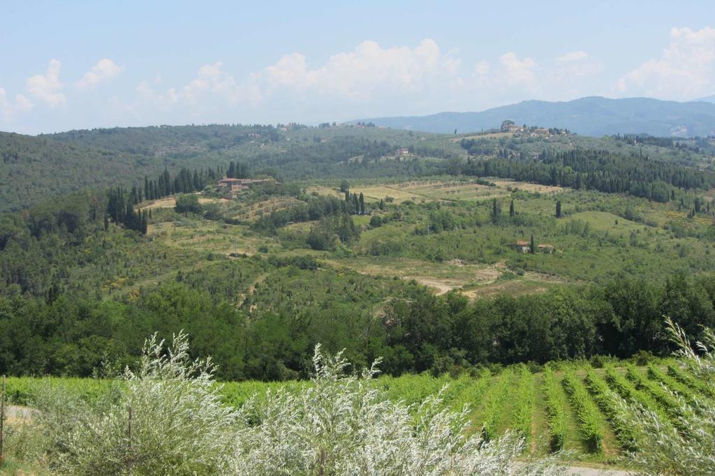 Winery Houses In Chianti Mercatale Val Di Pesa Pokoj fotografie