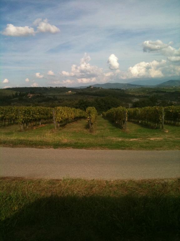 Winery Houses In Chianti Mercatale Val Di Pesa Pokoj fotografie